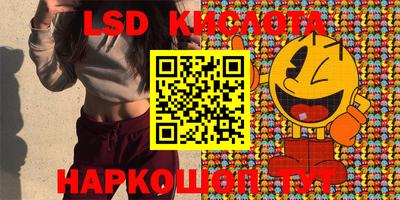 амф Сланцы