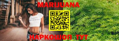 индика Ставрополь