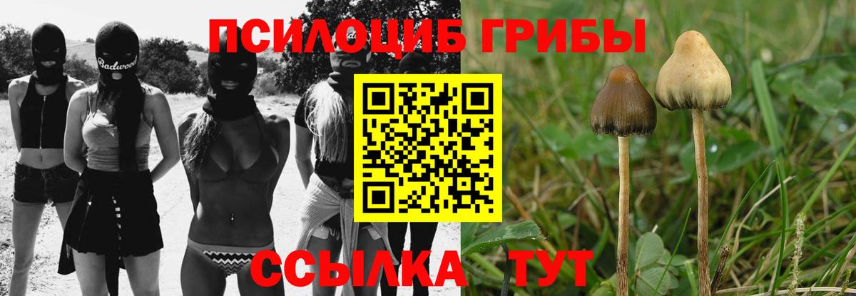 Галлюциногенные грибы Magic Shrooms Анжеро-Судженск